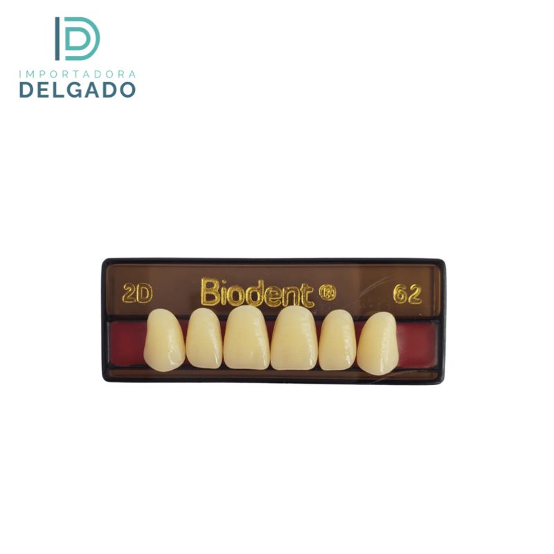 DIENTE BIODENT 2D UP 62