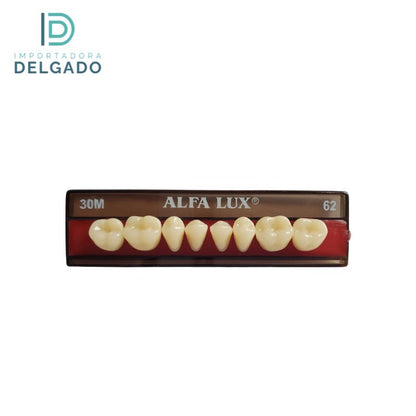 MOLAR DE ACRILICO BIODENT 30M INFERIOR COLOR 62