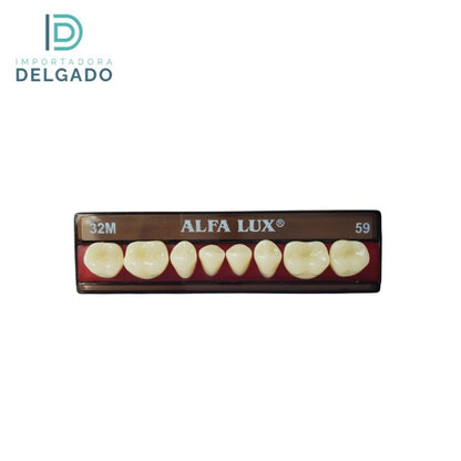 MOLAR DE ACRILICO BIODENT 32M INFERIOR COLOR 59
