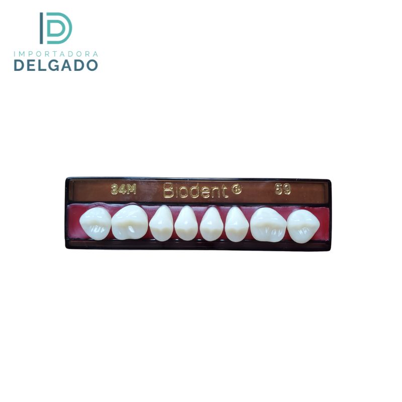 MOLAR BIODENT 34M UP 59