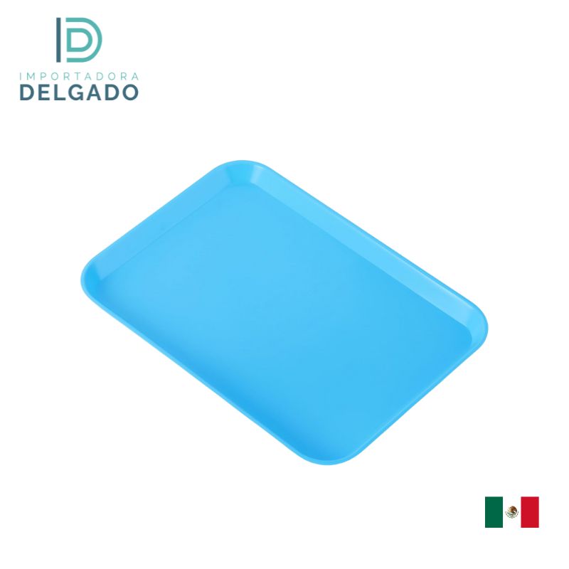 Bandejas GRANDE De Plastico Liso CELESTE