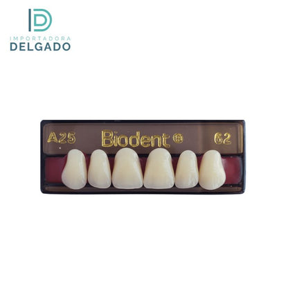 DIENTE DE ACRILICO BIODENT A25 SUPERIOR COLOR 62