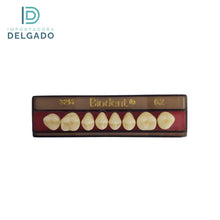 MOLAR BIODENT 32M UP 62