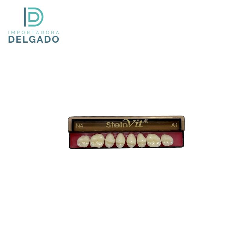 MOLAR  STEINVIT N4 UP A1 / 32 Superior A1