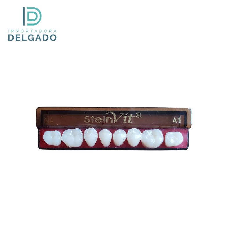 MOLAR  STEINVIT N4 LO A1 / 32 Inferior A1