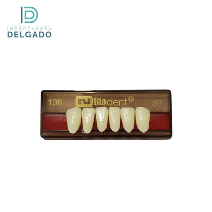 DIENTE DE ACRILICO BIODENT 136 INFERIOR COLOR 59